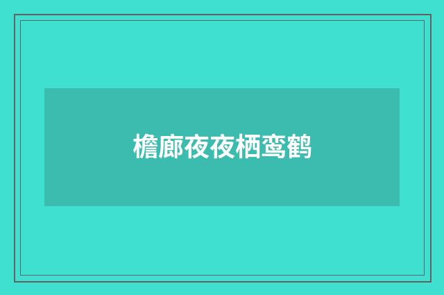 檐廊夜夜栖鸾鹤