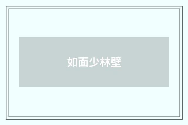 如面少林壁
