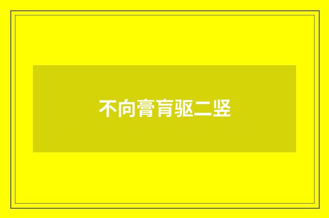 不向膏肓驱二竖