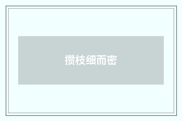 攒枝细而密