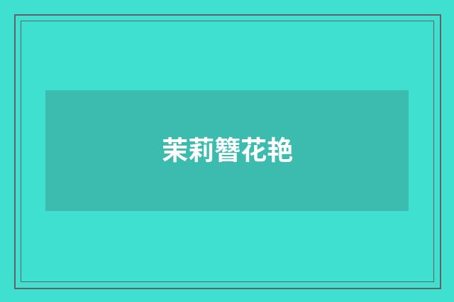 茉莉簪花艳