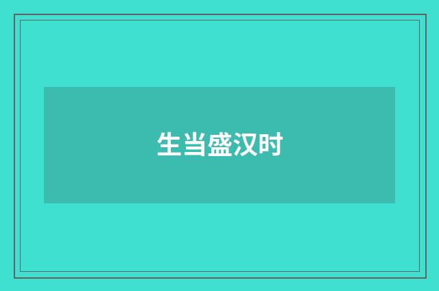 生当盛汉时