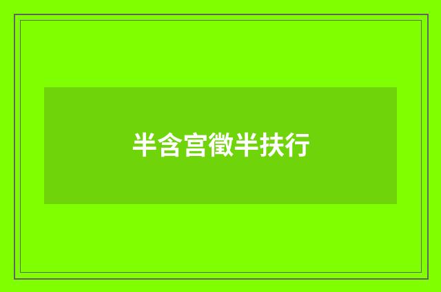 半含宫徵半扶行