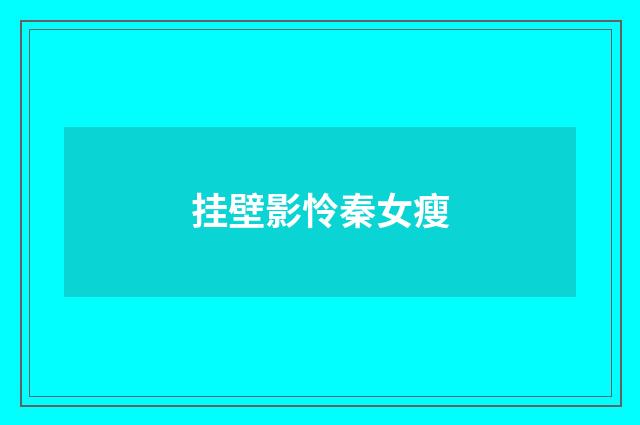 挂壁影怜秦女瘦