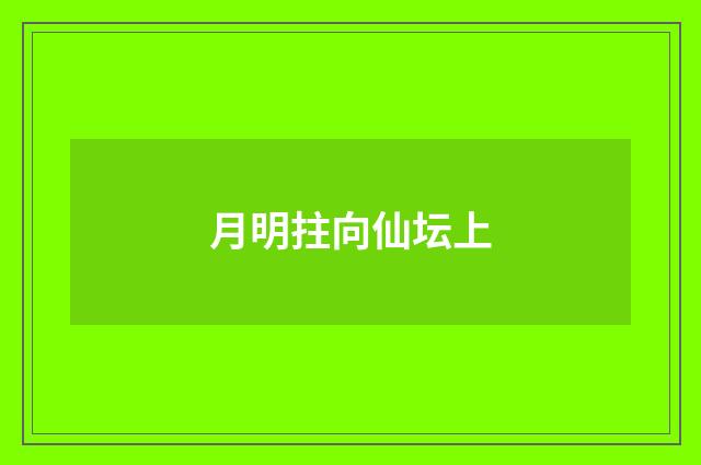 月明拄向仙坛上