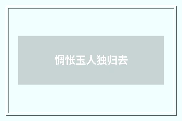 惆怅玉人独归去
