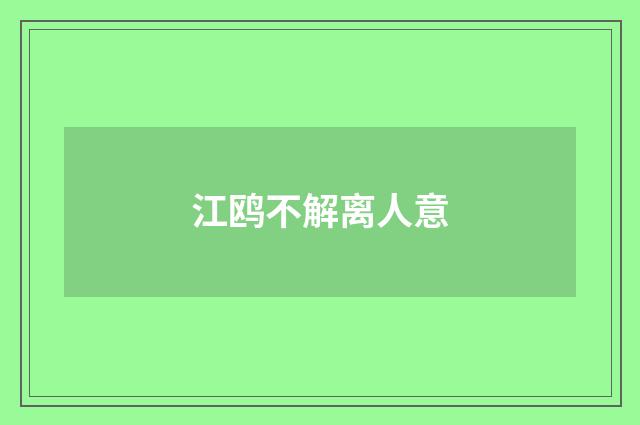 江鸥不解离人意