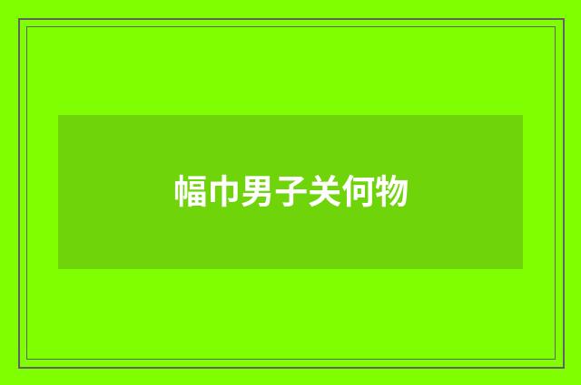 幅巾男子关何物