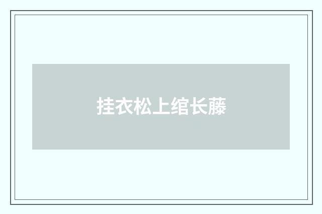 挂衣松上绾长藤