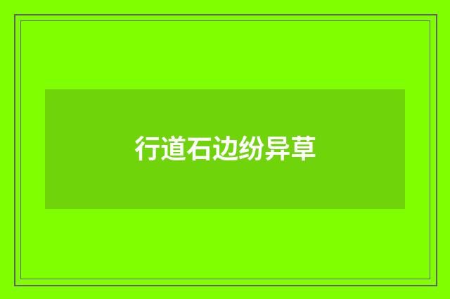行道石边纷异草