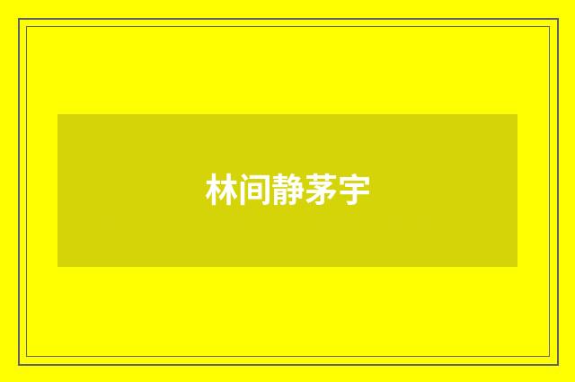林间静茅宇