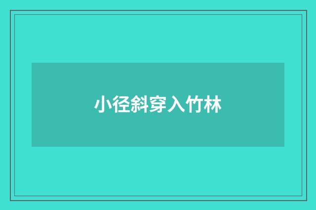 小径斜穿入竹林