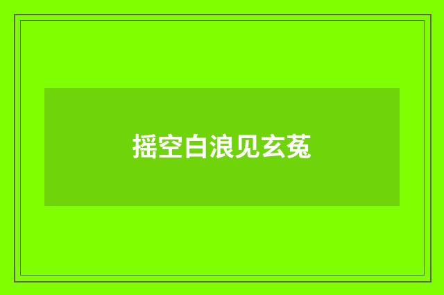 摇空白浪见玄菟
