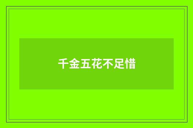 千金五花不足惜