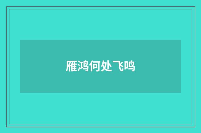 雁鸿何处飞鸣