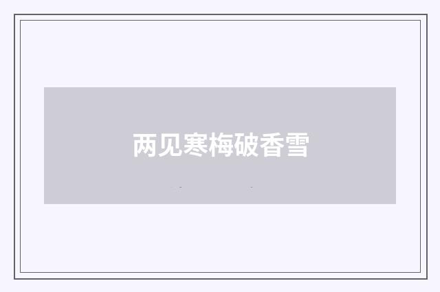 两见寒梅破香雪