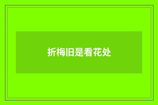 折梅旧是看花处