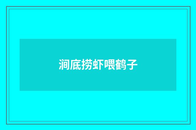 涧底捞虾喂鹤子