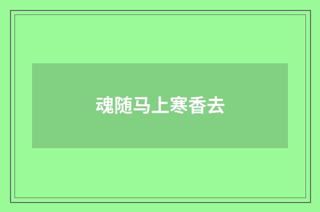 魂随马上寒香去