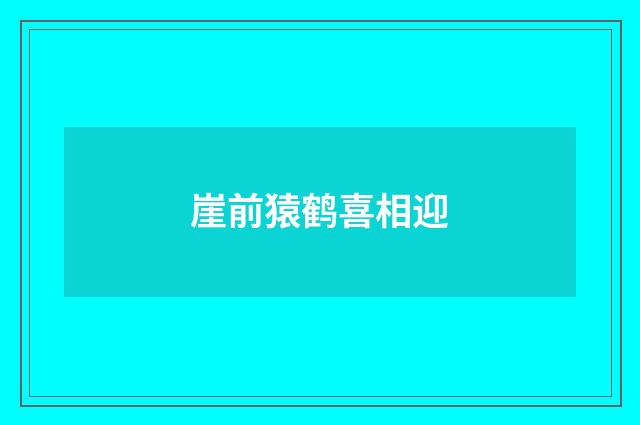 崖前猿鹤喜相迎