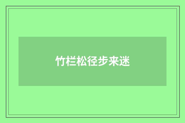 竹栏松径步来迷