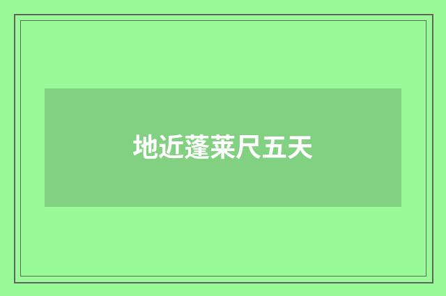 地近蓬莱尺五天