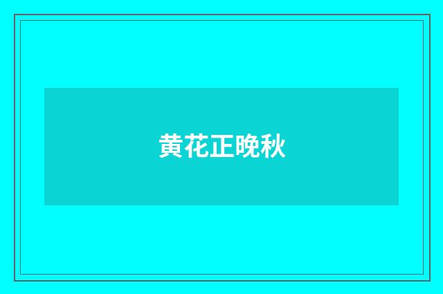 黄花正晚秋