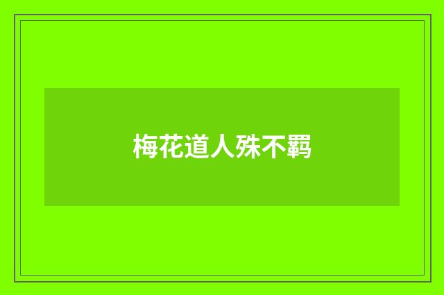 梅花道人殊不羁