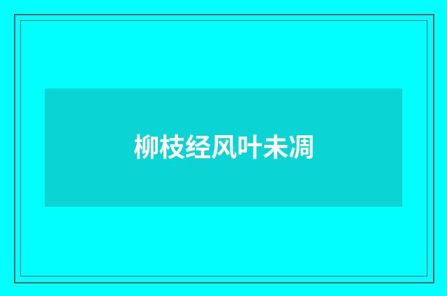 柳枝经风叶未凋