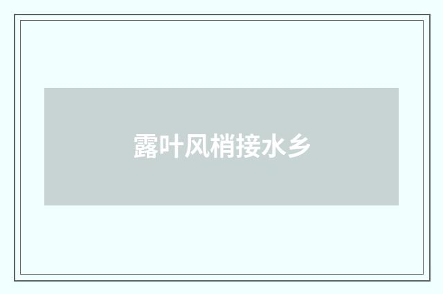 露叶风梢接水乡