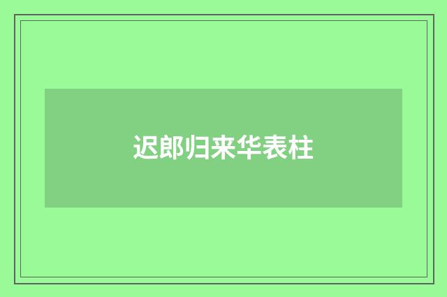 迟郎归来华表柱