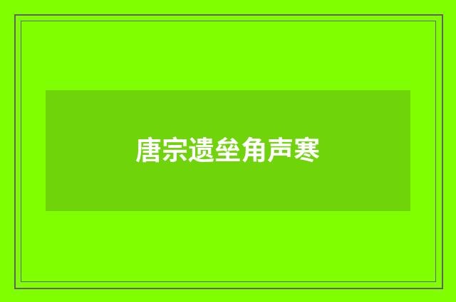 唐宗遗垒角声寒