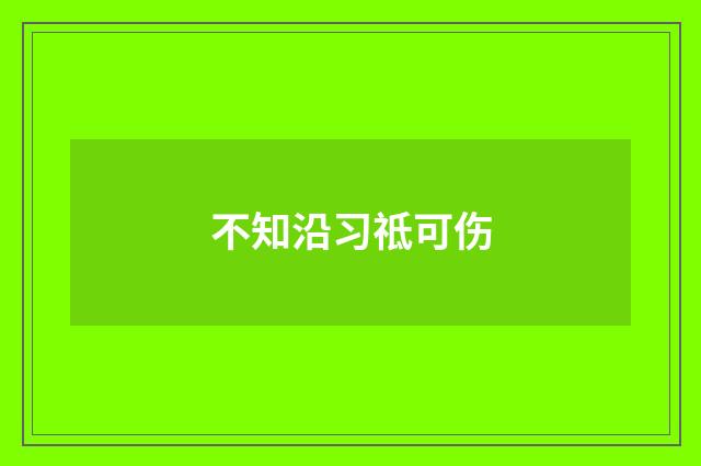 不知沿习祗可伤