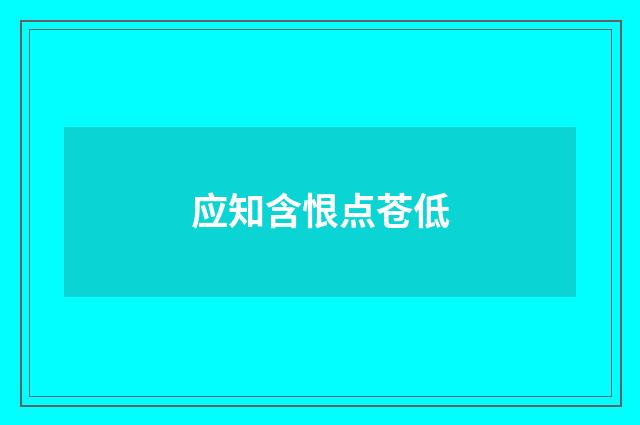 应知含恨点苍低