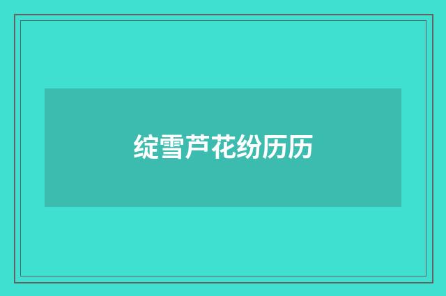 绽雪芦花纷历历