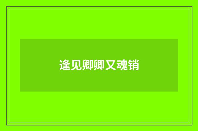 逢见卿卿又魂销