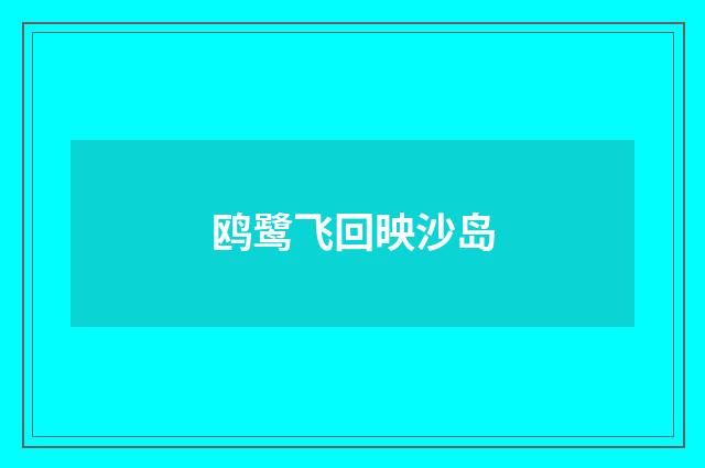 鸥鹭飞回映沙岛