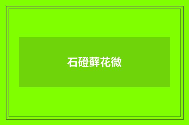 石磴藓花微