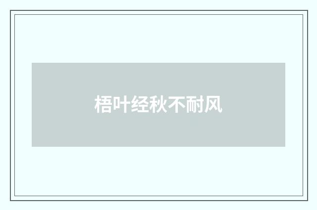 梧叶经秋不耐风