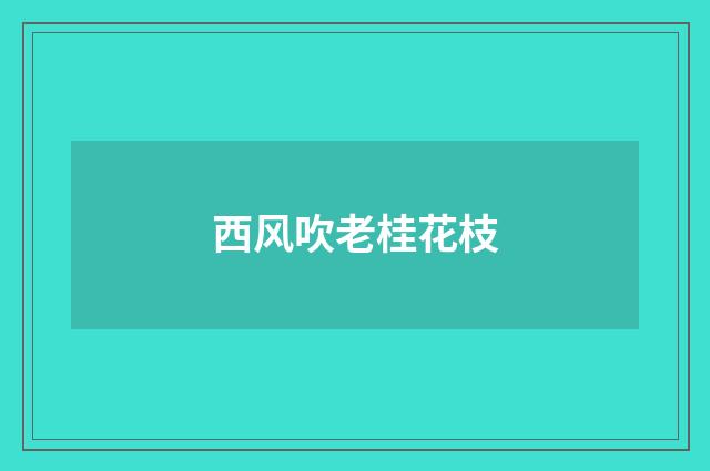 西风吹老桂花枝
