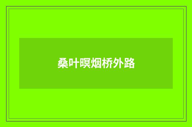 桑叶暝烟桥外路