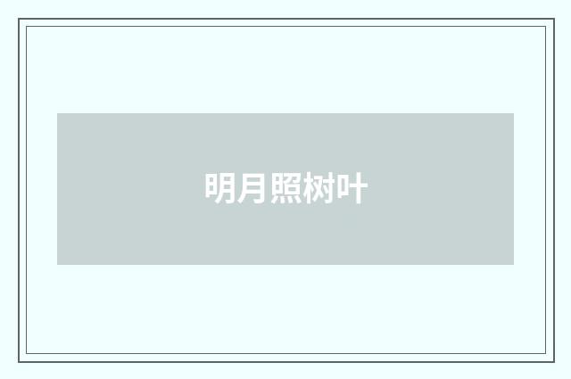 明月照树叶