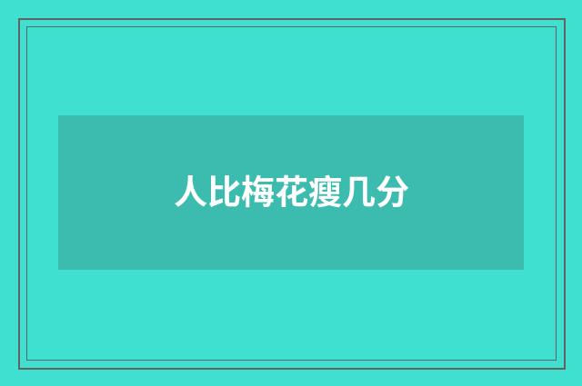 人比梅花瘦几分