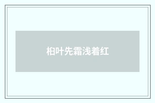 桕叶先霜浅着红