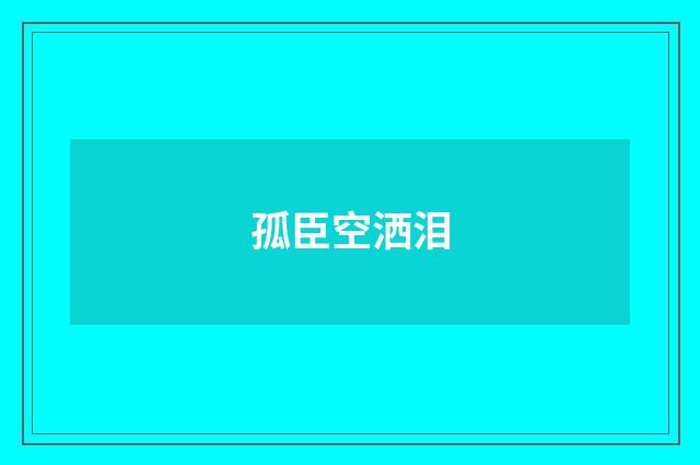 孤臣空洒泪