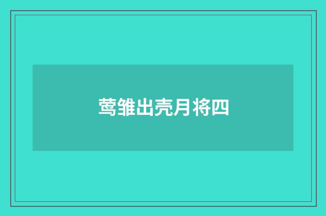 莺雏出壳月将四