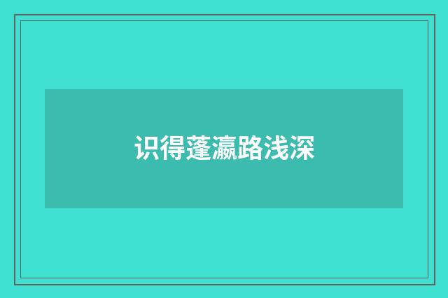 识得蓬瀛路浅深