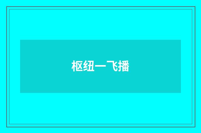 枢纽一飞播