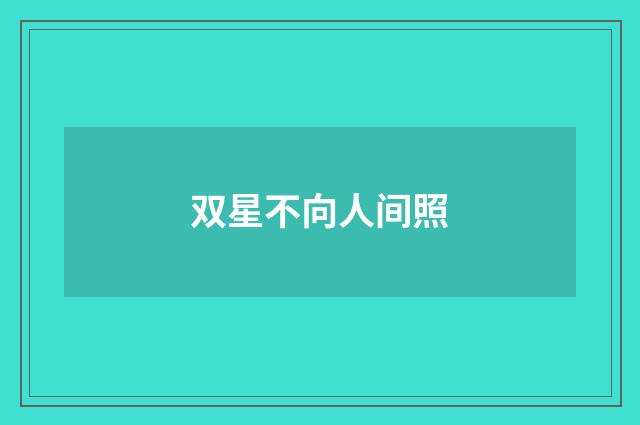 双星不向人间照