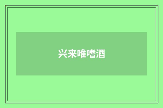 兴来唯嗜酒